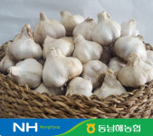 보물섬 남해마늘 프리미엄 마늘10kg/일반(남도)마늘/동남해농협 : 동남해농협 농특산물판매장