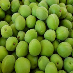 하동 청매실 남고매실 깐매실 홍매실 황매실 5kg/10kg : 녹차먹은매실