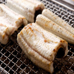 자포니카 민물장어 장어1kg 손질 초벌 양념 선물세트 활력장어 : 거북왕수산
