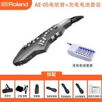 롤랜드 ROLAND 정품 직수입 오리지널 전기 취관악기 AE01 엔터테인먼트 초급 ae0501c 전자 색소폰 : 원데이 안전직구라이프