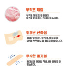 [에버레이드] 후렉스밴드 X1박스 : 그린에버메디신