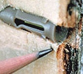 나무 영양제 소나무 비료 캡슐제 나무주사 메디캡엠디(10개입) : 유원에코팜