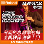 롤랜드 ROLAND 정품 직수입 로랑 전기 취관악기 AE05AE01C 시니어 초급 색소폰 : 원데이 안전직구라이프