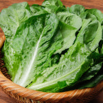 로메인상추 로메인 2kg : 백미양식