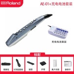 롤랜드 ROLAND 정품 직수입 프리미엄 전기 취관악기 AE01C AE05 일렉트로닉 색소폰 엔터테인먼트 초급 관악호박 : 원데이 안전직구라이프