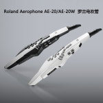 롤랜드 ROLAND 정품 직수입 로랑 취관악기 AE20 AE-20W 중장년 엔터테인먼트 초급전자 색소폰 : 원데이 안전직구라이프