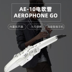 롤랜드 ROLAND 정품 직수입 ae30 전기 취관악기 대전 ae10 전자 취관전기 색소폰 ae01 초급 : 원데이 안전직구라이프