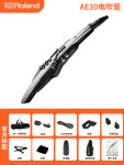 롤랜드 ROLAND 정품 직수입 뉴롤랜드 로랑 전기 취관악기 AE20 시니어 초급 엔터테인먼트 AE30 일렉트로닉 취관 색소폰 A : 원데이... 