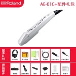 롤랜드 ROLAND 정품 직수입 오리지널 전기 취관악기 AE01C AE05 일렉트로닉 색소폰 엔터테인먼트 초급 관악호박 : 원데이 안전직구라이프