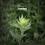 마리농장 강화 쑥떡 냉동떡 강화도 떡집 개떡 쑥개떡 해풍쑥떡 : 추천 쇼핑몰