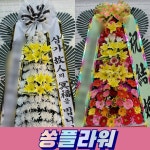 부산시 진구 양정동 화환 부산 양정동 화환배달 양정 당일 꽃배달 꽃배송 : 쏭플라워 무료꽃배달