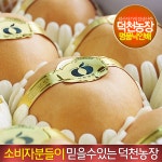 명품 낙안배 15kg 18-22과 신고배 (설날선물세트 예약받습니다) : 해누리몰