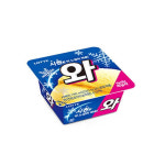 롯데 시원한 택배 대용량 와 아이스크림 16개 : 웜플레이스