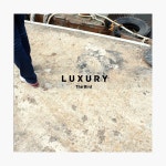 더 버드 - 3집 Luxury : 알라딘