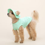 강아지 썬캡 여름모자 펫파파 솔리드 쿨캡 민트 SM : 와일리캣