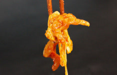 [다솔푸드] 직화구이 불향 매운닭발 순한맛 200g 3팩 + 1팩 : 시식마켓 식후경