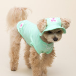 강아지 썬캡 여름모자 펫파파 솔리드 쿨캡 민트 SM : 와일리캣