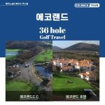 [제주골프/1박2일]에코랜드CC36H : GOLMACATOUR