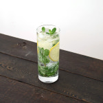 유기농 애플민트 생잎 모히또용 50g 100g : 논밭상점