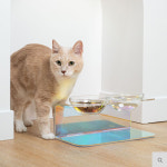 아가드 펫트리움 프리즘 아크릴 펫테이블 2구 애견식기 투명식기 : 베스트지엘