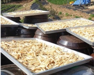 고추장 더덕장아찌 홍천 삼둔농원 나물 절임 반찬 오대산 1kg : 꽁 지 마 켓