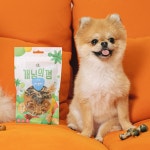 새끼 강아지 개껌 오래먹는 부드러운 치석 제거 덴탈 개 껌 3개월 부터 노즈워크 기능성 : 더한쇼핑