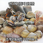 조개구이 세트 모듬 조개 2kg 조개찜 조개탕 키조개 : 바다자리