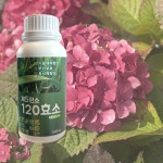 제5원소 120효소 발효액비 액상유기질비료 500ml 촌빛바이오 식물영양제 : 소공메마켓
