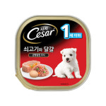 시저 습식사료 강아지캔 쇠고기 100g 반려 애견 강아지 기호성 좋은 캔 간식 : 조은세상1