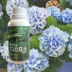 제5원소 120효소 발효액비 액상유기질비료 500ml 촌빛바이오 식물영양제 : 소공메마켓