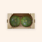 수박 대사이즈 2개입 박스 과일포장 대량주문 : 주식회사 앤픽스이노베이션