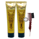 보스티나 더 플러스 염모제 110ml 2개 + 염색빗 : 럭키데이77