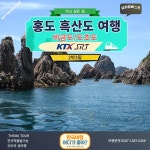 [KTX 호남선] 서울역출발 홍도 흑산도 비금도 도초도 2박3일 : 국내여행 여기어때