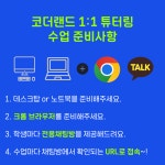 [코더랜드-신규등록] 스크래치/파이썬초등 - 1:1 튜터링 (2개월수강권) : 주식회사 코더랜드