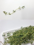 야채왕 타임 1kg (0.9kg~1kg)  박스 허브 : 야채왕