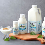 6차산업 웃담 순수 플레인 요구르트 500ml : 완주로컬푸드