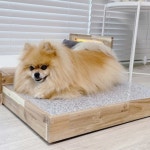 강아지대리석침대 고양이 천연 대리석 반려동물 : 이브캣타로