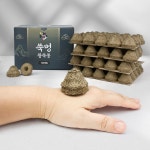 쑥뜸 왕뜸 왕봉 왕쑥뜸 왕쑥봉 배꼽뜸 쑥뜸봉 100p : 성일상점