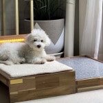 강아지대리석침대 고양이 천연 대리석 반려동물 : 이브캣타로