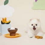 로렌츠 못난이 채소껌 420g (20g x 21개입) 강아지 간식 비건 채식 덴탈껌 덴탈본 치석껌 개껌 강아지껌 : 댄싱독