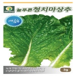 여름 청치마상추 씨앗(3g) : 365일 모종마트