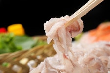 50년 통영어부 자연산100% 통발 바다장어 대사이즈 1kg 집에서 장어 구이  아나고 : 장가네수산