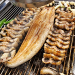 무항생제 국산 자포니카 손질 민물장어 : 사그담