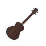 HEX 헥스 HU10 PLUS 콘서트 우쿨렐레 : 스즈키악기