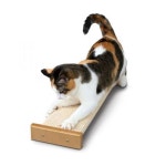 파이오니아 부시스 콤비네이션 스크래쳐 고양이 장난감 : 페톰스