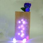 마술공연 장기자랑 빨간색과 파란색 가벼운 손가락과 장미 꽃 무대 조명 애호가 커플 소품을 포함한 트릭 장난감 : 종이느님