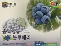 [영동농협] 메이빌 블루베리 1kg (100g x 10EA, 14mm) : 충북농협온마켓