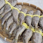 국내산 법성포 영광굴비 가정용 선물용 참굴비 20미 1.3kg 1.4kg : 황제밥상