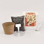 아이농부 당근 씨앗 키우기 친환경 화분 재배 키트 세트 유치원 초등 방학 숙제 : 마이플랜트