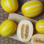 성주참외 고당도 베타카로틴 참외 : 오늘애 농수산